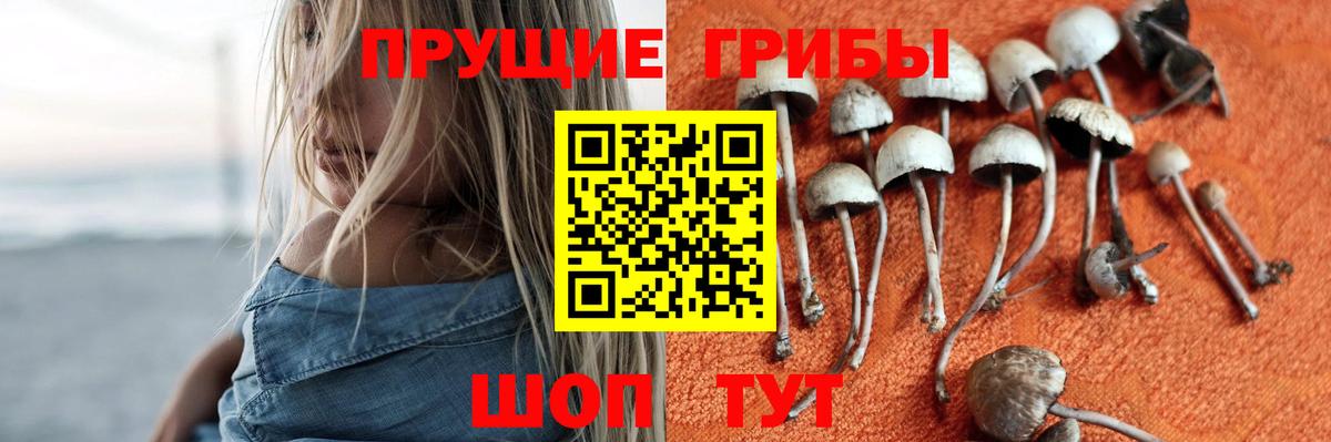 Галлюциногенные грибы GOLDEN TEACHER Асбест